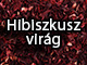 Hibiszkuszvirág